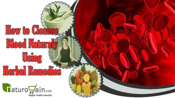 How to Cleanse Blood Naturally Using Herbal Remedies?
