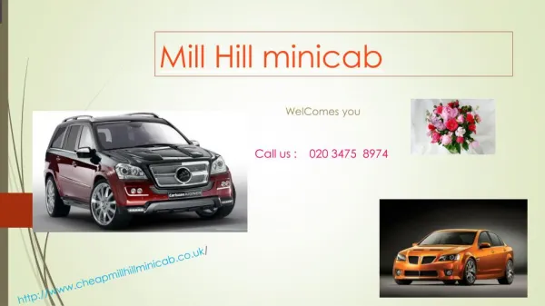 Transfer Service From Mill Hill