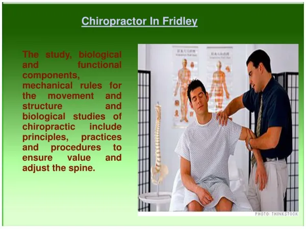 Chiropractor In Fridley