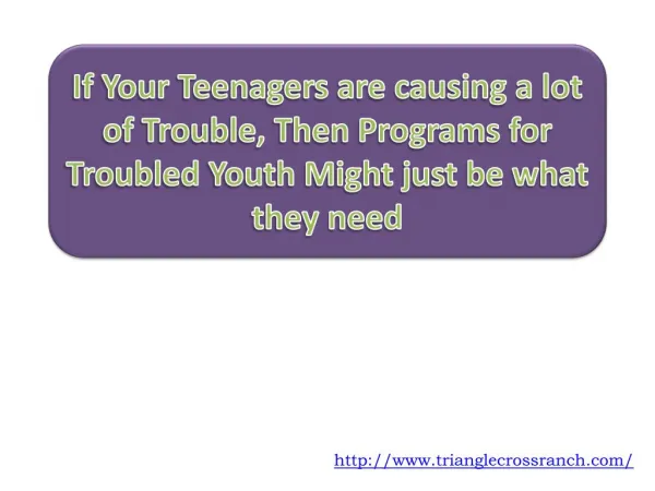 If Your Teenagers are causing a lot of Trouble, Then Program