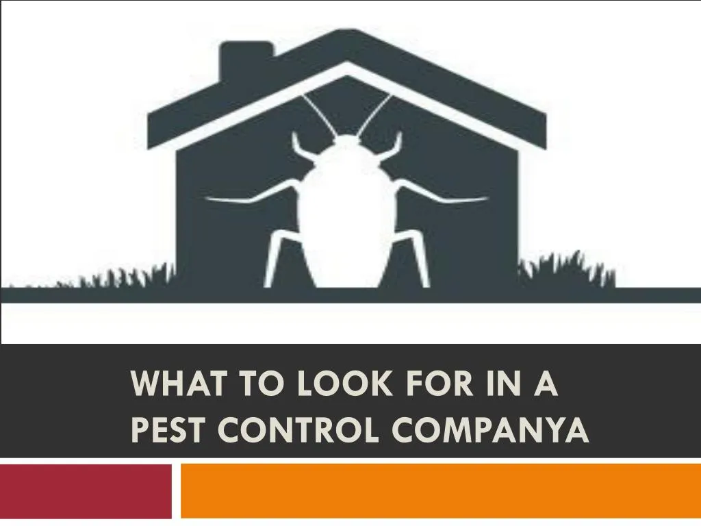 what to look for in a pest control companya