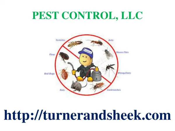 Pest, Spider and Rodent Control - Termite Inspections Cheste