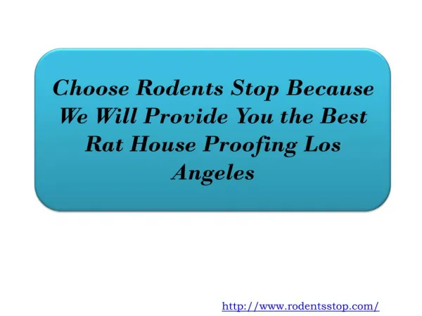 Choose Rodents Stop Because We Will Provide You the Best Rat