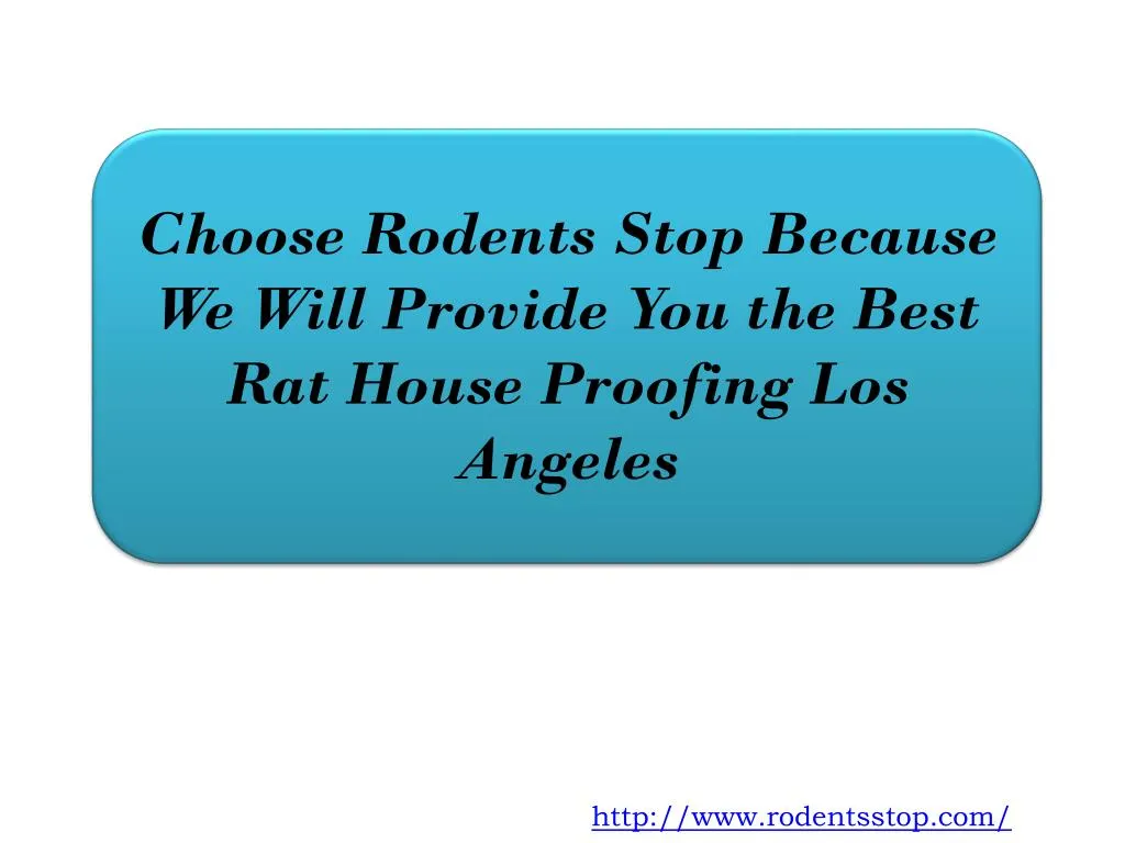 choose rodents stop because we will provide you the best rat house proofing los angeles