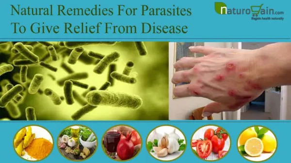 Natural Remedies For Parasites To Give Relief From Disease
