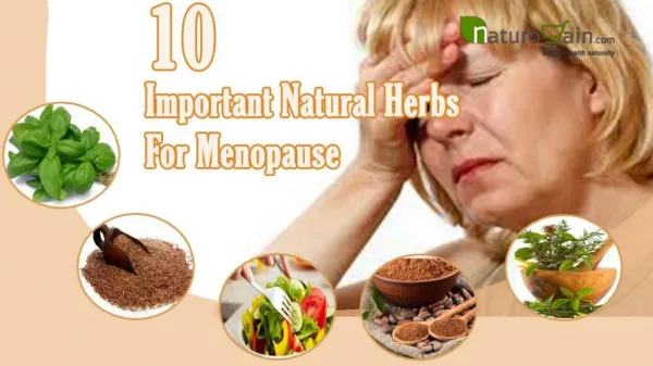 Top 10 Important Natural Herbs For Menopause To Provide Imme