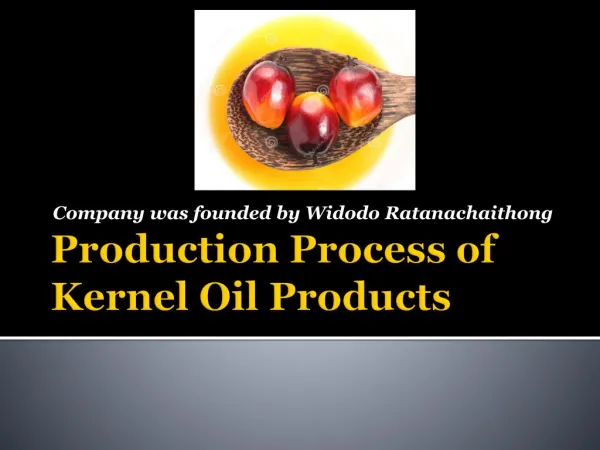 Production Process of Kernel Oil Products