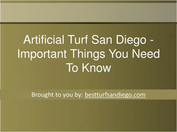 Artificial Turf San Diego - Important Things You Need To Kno