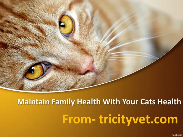 Maintain Family Health Along With Pet Health