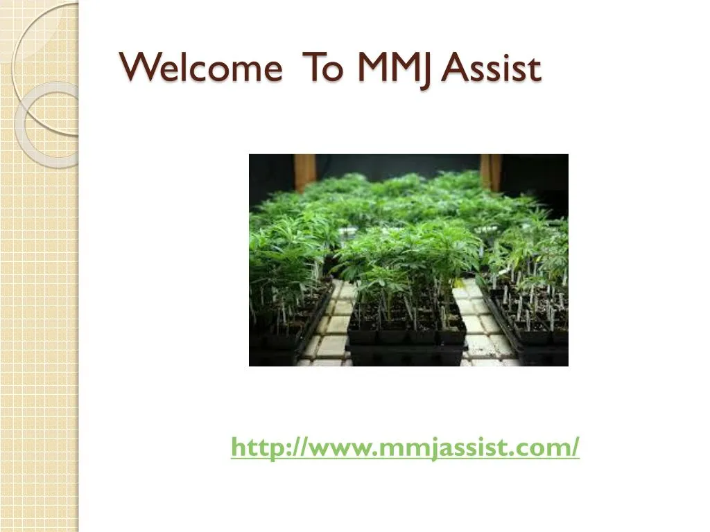 welcome to mmj assist