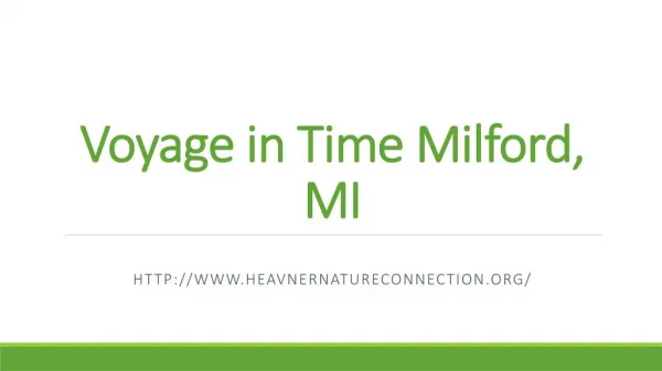 Voyage in Time Milford, MI