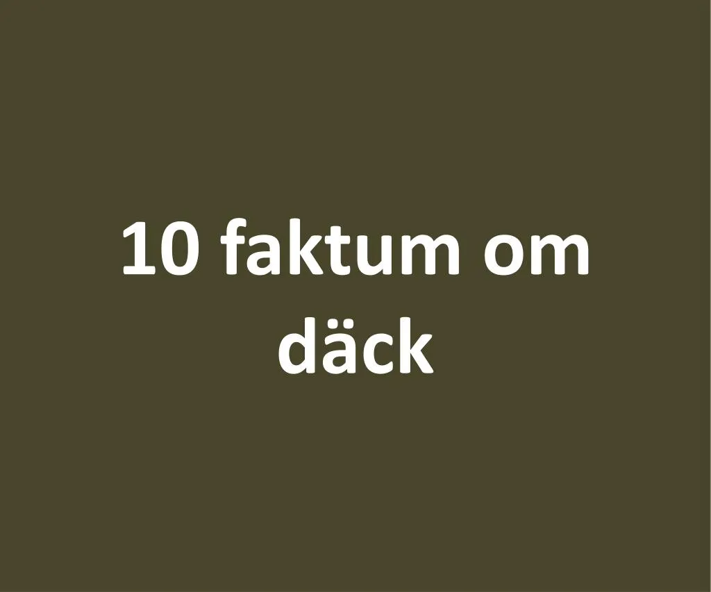 10 faktum om d ck