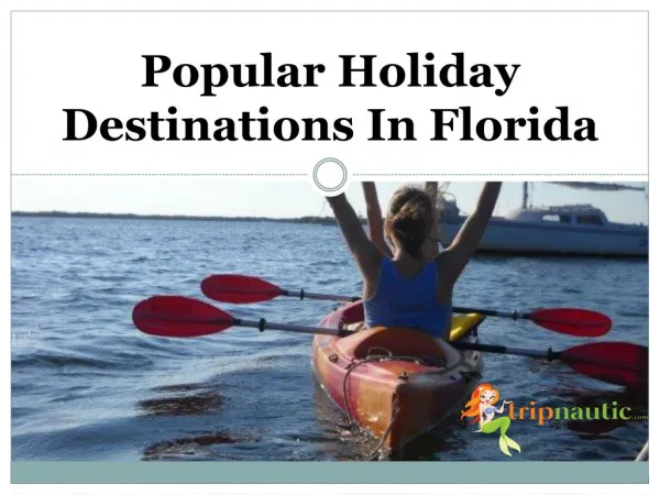 Popular Holiday Destinations In Florida