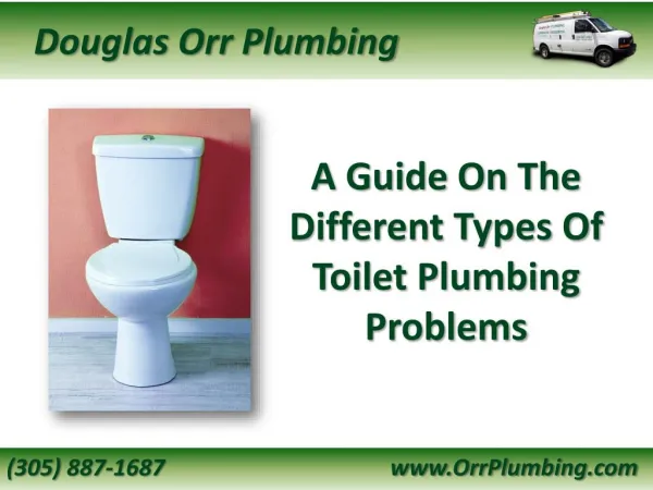 A Guide On The Different Types Of Toilet Plumbing Problems