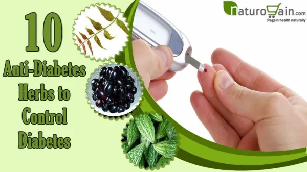 10 Anti-Diabetic Herbs to Control Diabetes or High Blood Sug