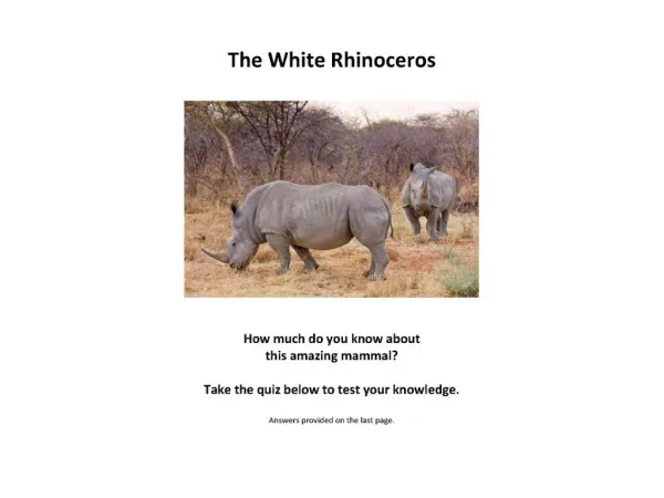 Tunde Folawiyo White Rhino