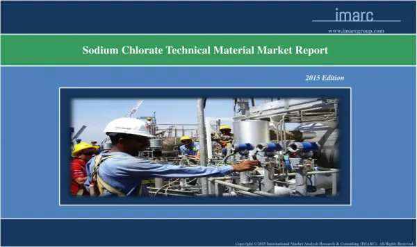 Sodium Chlorate Technical Material Market Report