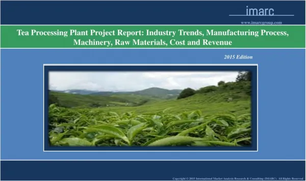 Global Tea Processing Plant Project Report