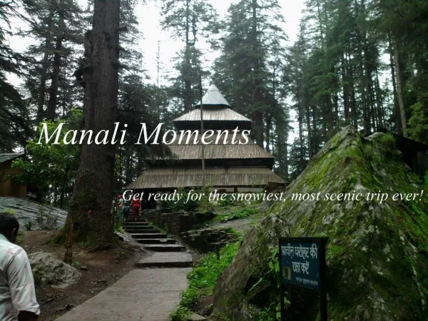 Manali Moments