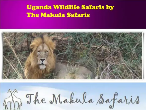 Uganda Wildlife Safaris by The Makula Safaris