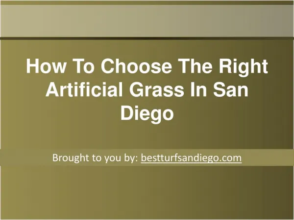 How To Choose The Right Artificial Grass In San Diego