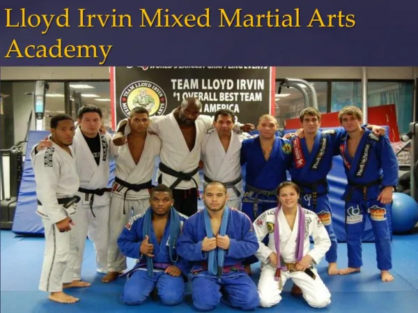 Lloyd Irvin Martial Arts Academy - Free After School Program