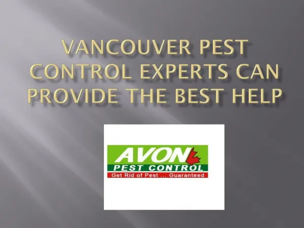Vancouver Pest Control Experts Can Provide The Best Help
