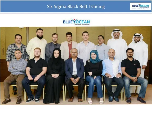 Six Sigma Black Belt Training