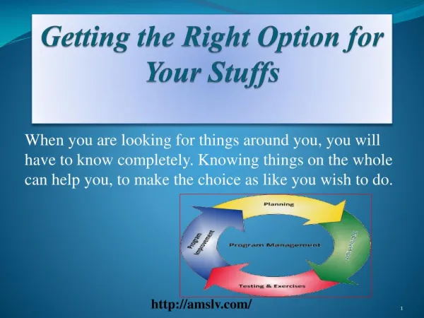 Getting the Right Option for Your Stuffs