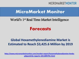 Global Hexamethylenediamine Market Forecast-2019 - slide 1