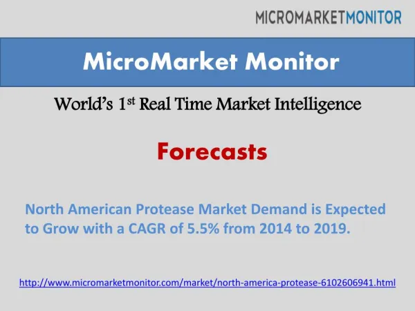 North American Protease Market Demand is Expected to Grow wi
