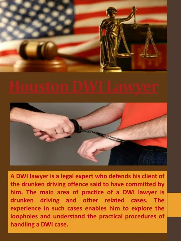Houston Criminal Lawyer.