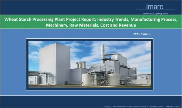 Wheat Starch Processing Plant Project Report