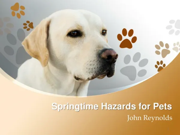 Springtime Hazards for Pets