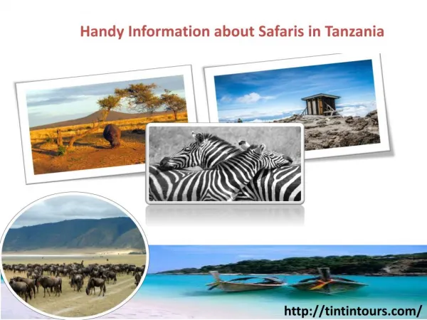 Handy Information about Safaris in Tanzania