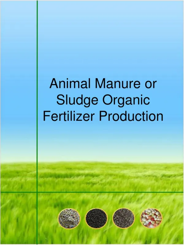 Animal Manure or Sludge Organic Fertilizer Production