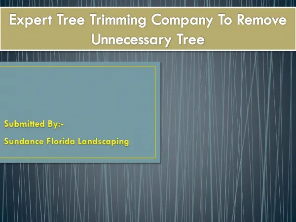 Expert Tree Trimming Company To Remove Unnecessary Tree