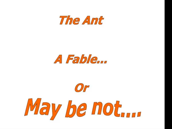 Funny powerpoint pps presentation The Ant Story