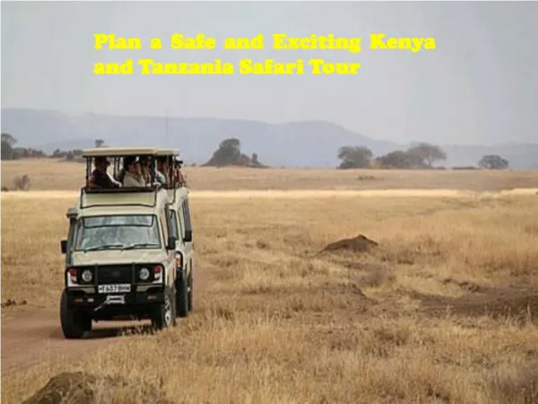 Plan a Safe and Exciting Kenya and Tanzania Safari Tour