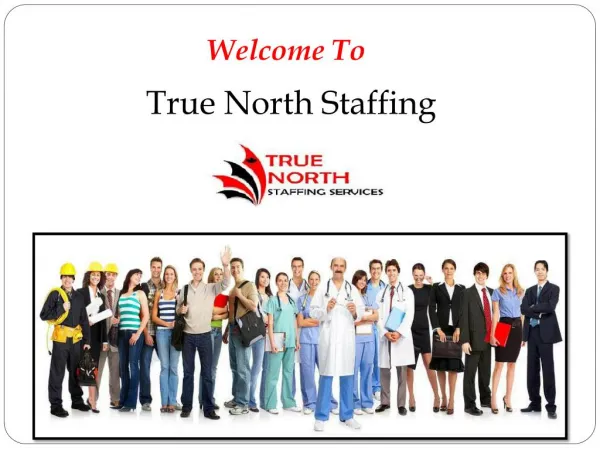 Employment Staffing Agency in Toronto, Canada
