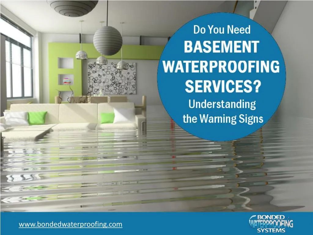 do you need basement waterproofing services understanding the warning signs