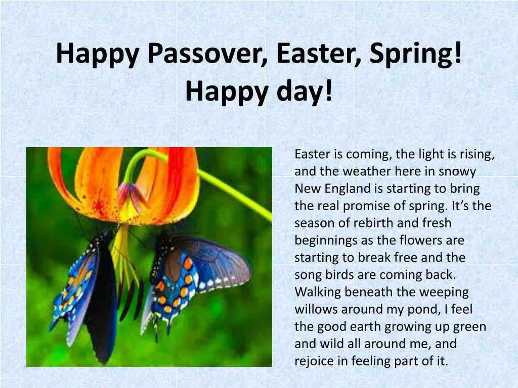happy passover easter spring happy day