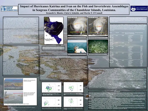 Impact of Hurricanes Katrina and Ivan on the Fish and Invertebrate Assemblages in Seagrass Communities of the Chandeleur