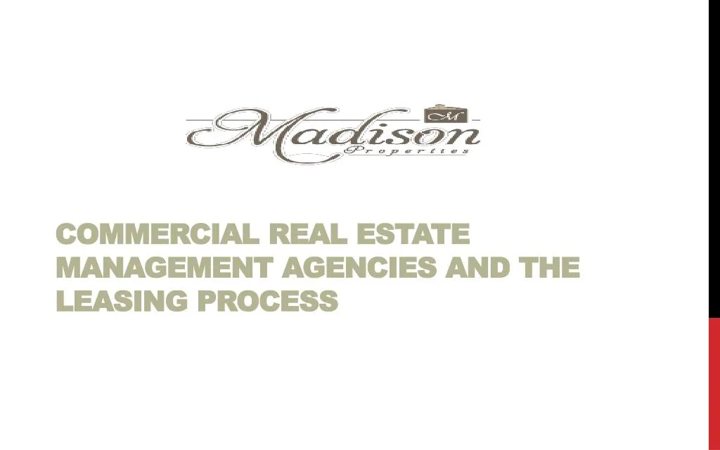 commercial real estate management agencies and the leasing process