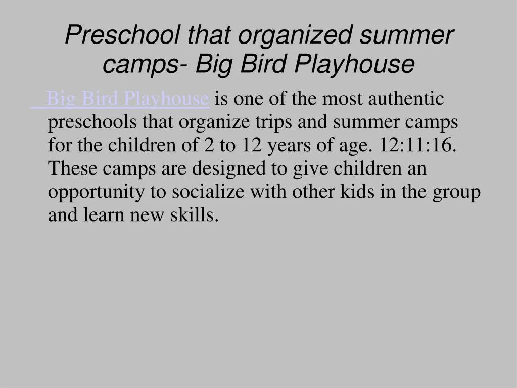 preschool that organized summer camps big bird playhouse