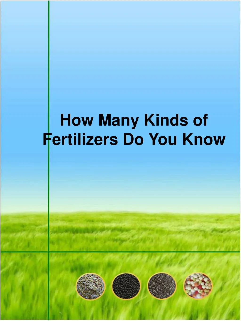 how many kinds of fertilizers do you know