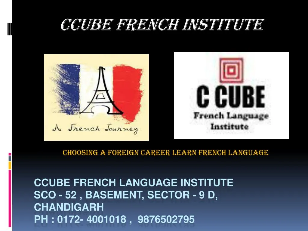 ccube french institute