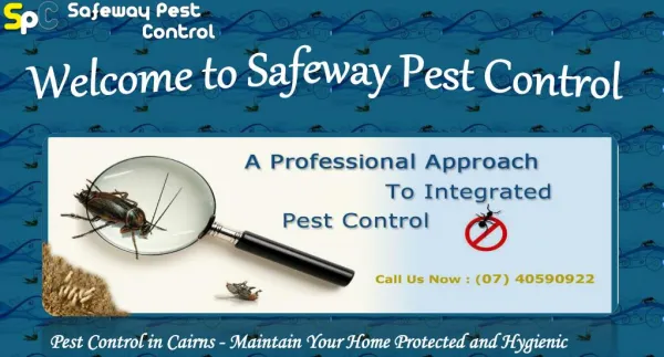 Safeway Pest Control - Pest Control in Cairns