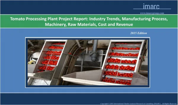 Tomato Processing Plant Project Report