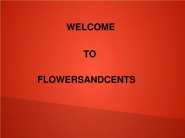 Flowers Used In Flower Wholesaler News